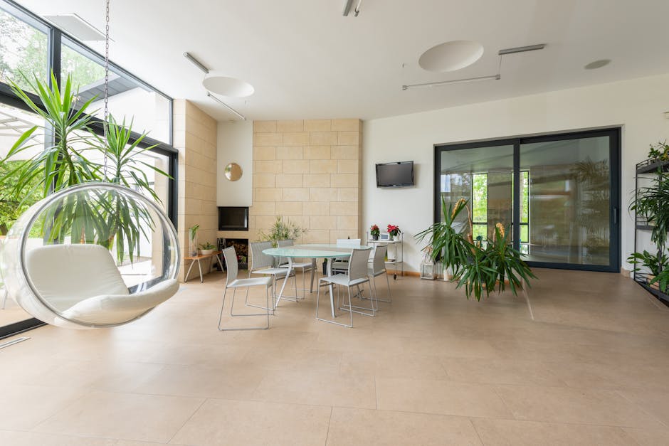 modern minimalist living room large windows natural light plants