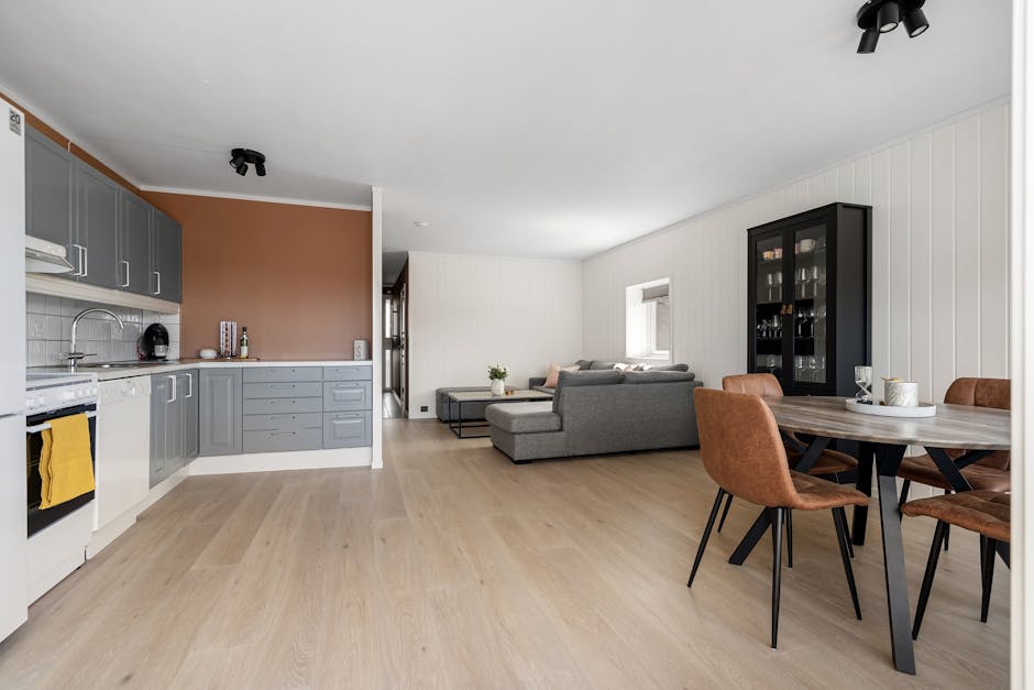 modern open plan living dining kitchen