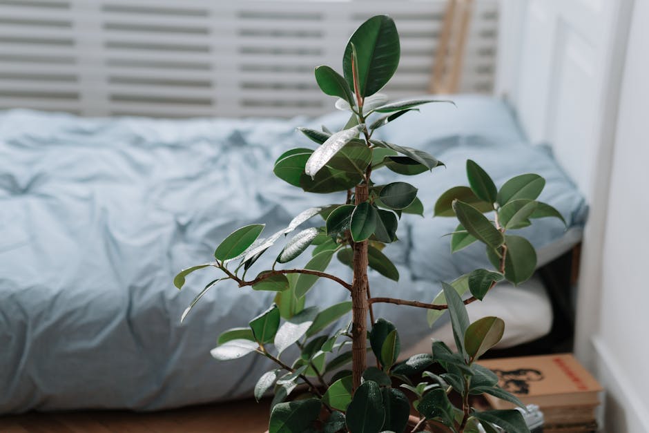 cozy bedroom with wooden elements and green plants