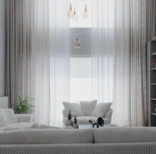 minimalist modern living room natural light