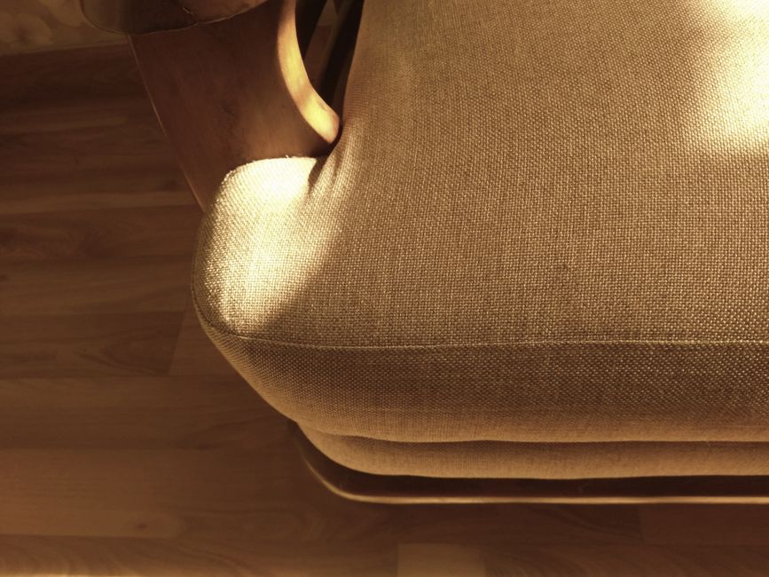 minimalist living room with natural wood furniture and soft sunlight