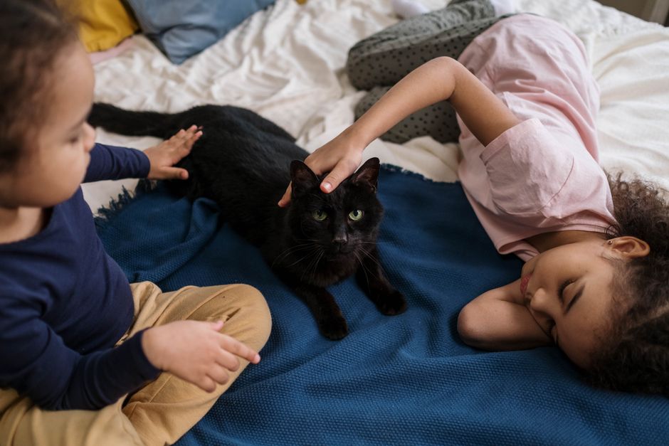 Cozy modern living room with three children playing and two cats napping